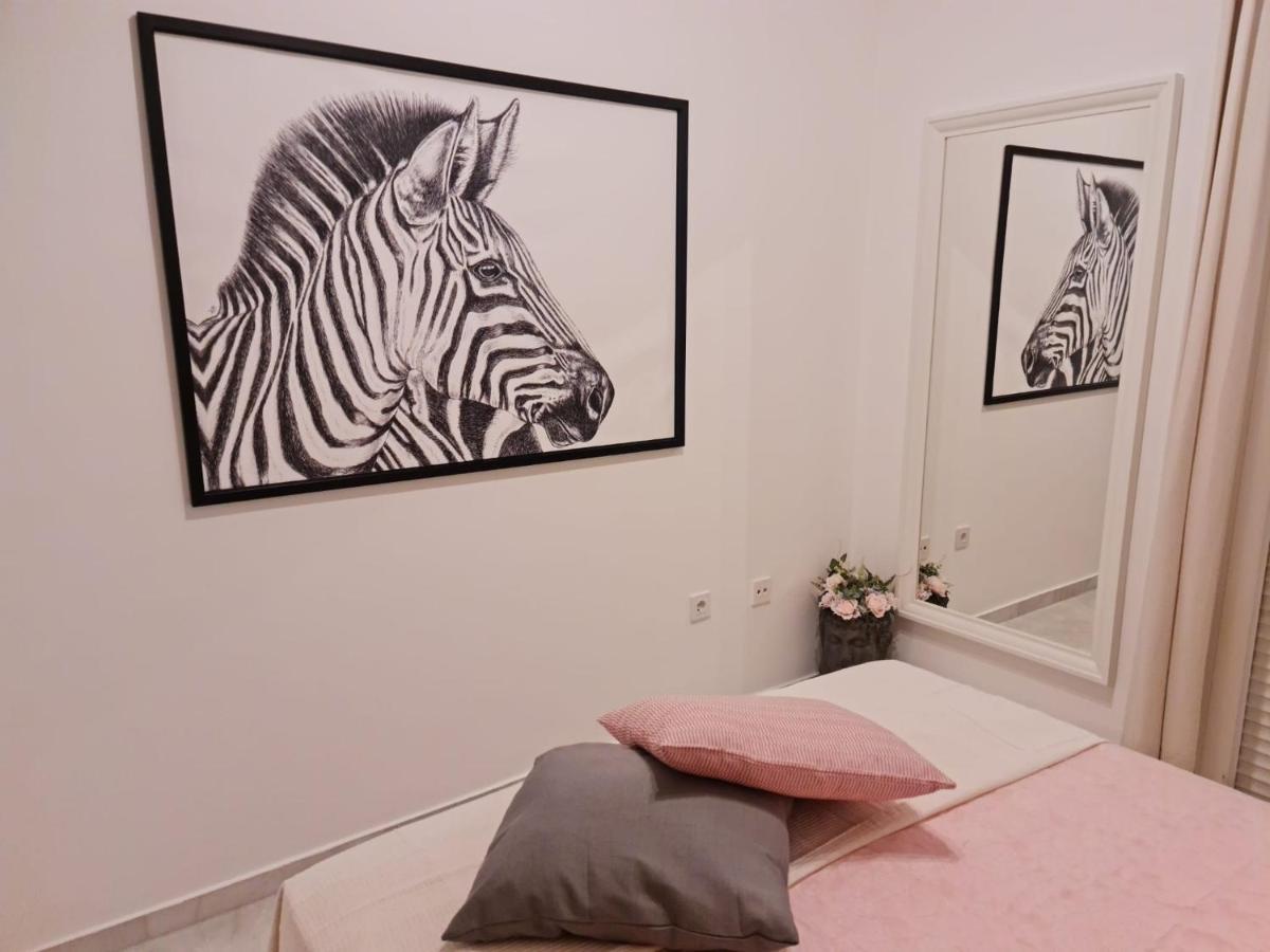 Centro Apartament
